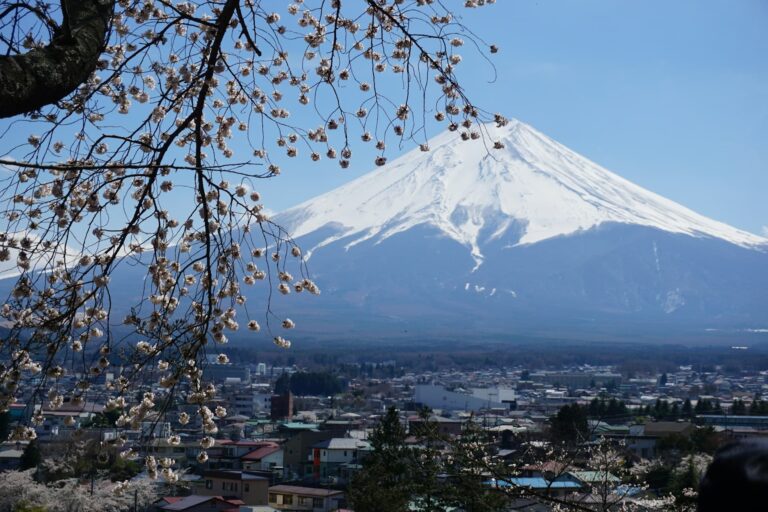 【2025年最新版】山梨県でおすすめのバーチャルオフィスを徹底比較